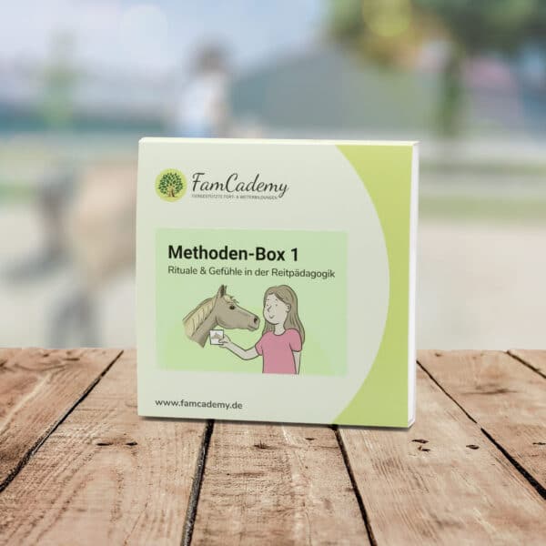 Methoden Box 1 – Rituale & Gefühle